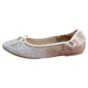 NWT Sam Edelman Felicia Gradient Ballerina Flat Size 5